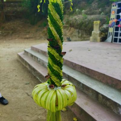 448995657 122186074340067470 3768730007066338958 N